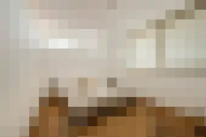 Nieuwendijk 5 Geldrop thumbnail 4