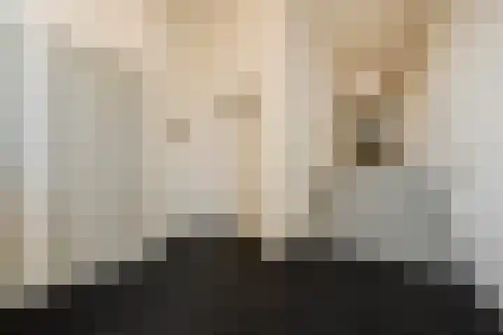 Nieuwendijk 5 Geldrop thumbnail 8