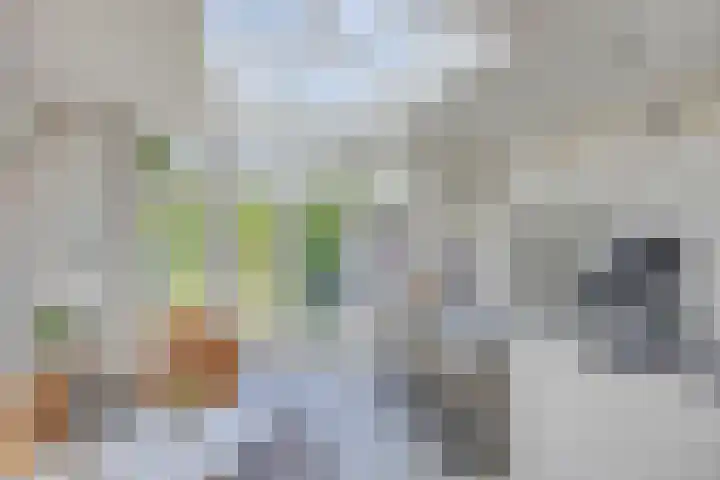 Nieuwendijk 52 Woerden thumbnail 16
