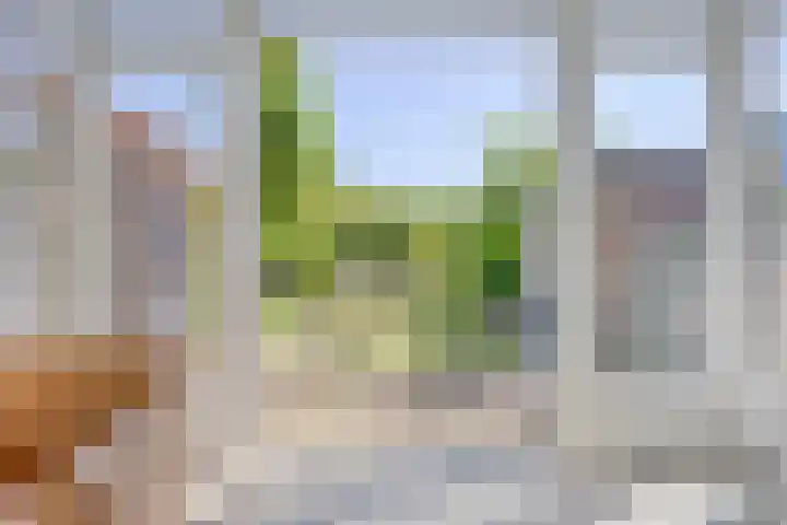 Nieuwendijk 52 Woerden thumbnail 18