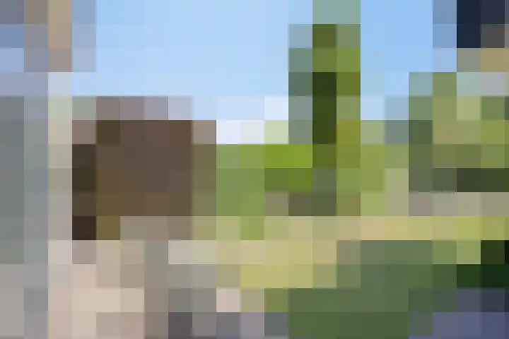 Nieuwendijk 52 Woerden thumbnail 36