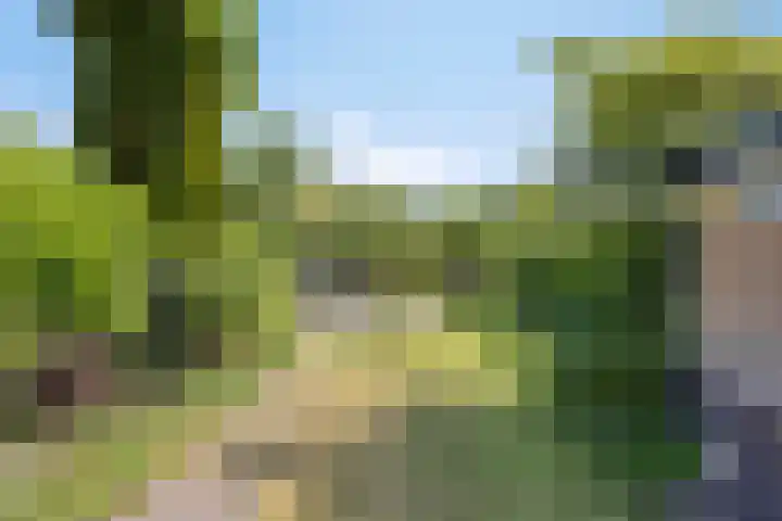Nieuwendijk 52 Woerden thumbnail 38
