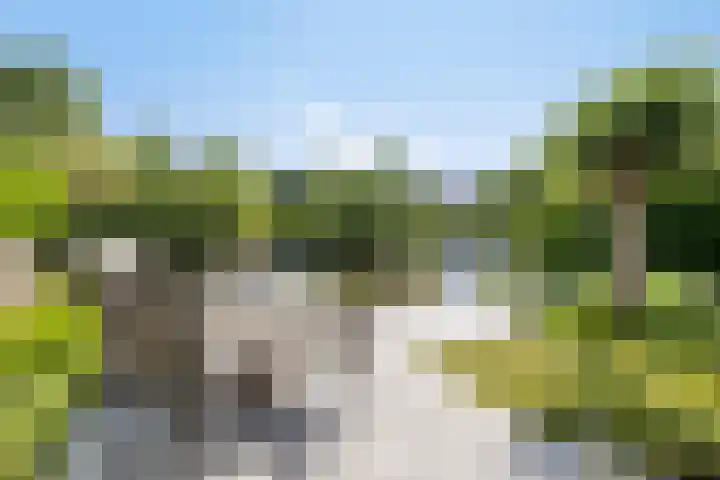 Nieuwendijk 52 Woerden thumbnail 44
