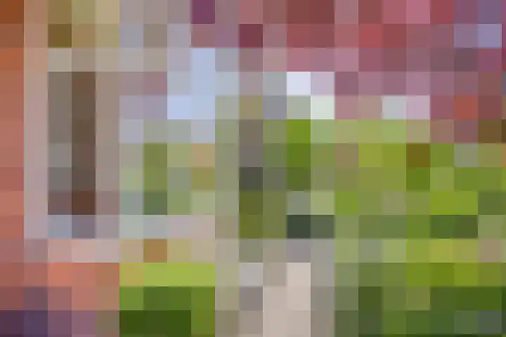 Nieuwendijk 52 Woerden thumbnail 48