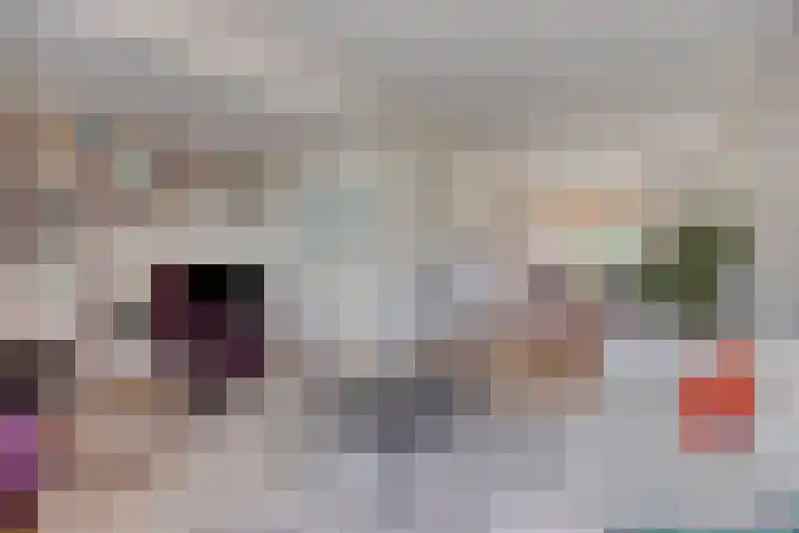 Nieuwendijk 52 Woerden thumbnail 6