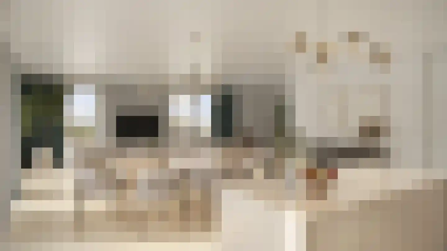 Nieuwendijk 6 Weert thumbnail 8