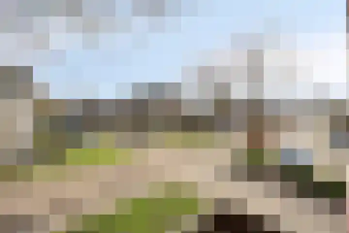 Nieuwendijk 64 Rosmalen thumbnail 20