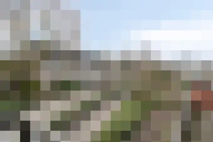 Nieuwendijk 64 Rosmalen thumbnail 21