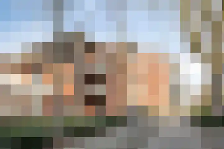 Nieuwendijk 64 Rosmalen thumbnail 23