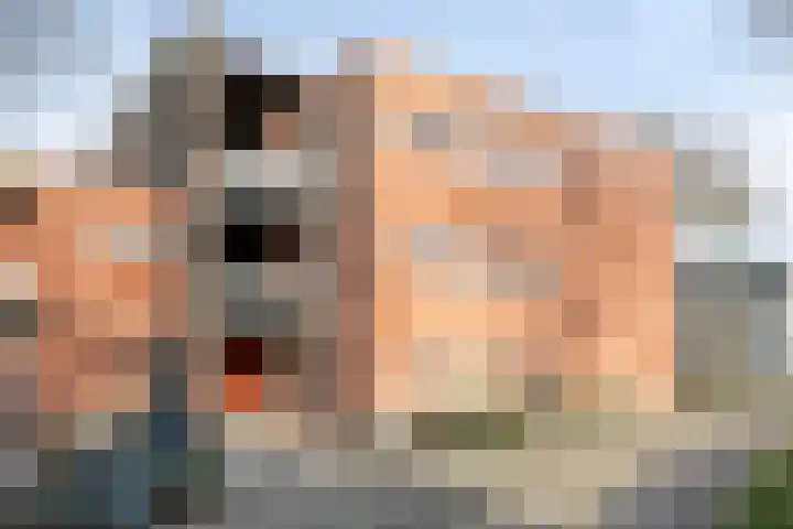 Nieuwendijk 64 Rosmalen thumbnail 24