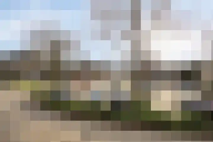 Nieuwendijk 64 Rosmalen thumbnail 25