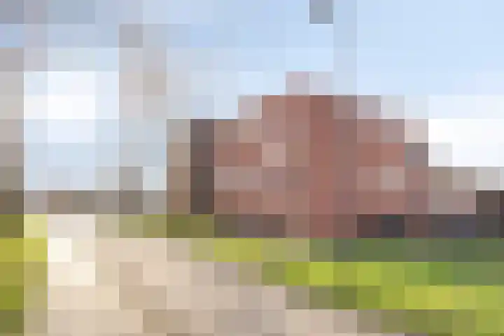 Nieuwendijk 64 Rosmalen thumbnail 26