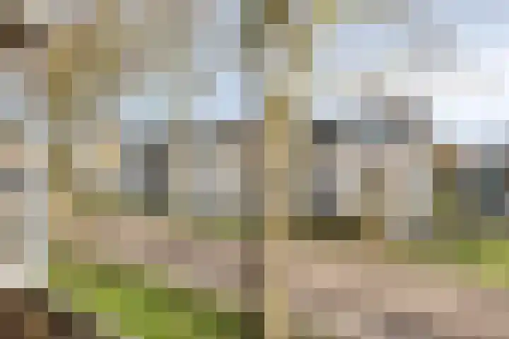 Nieuwendijk 64 Rosmalen thumbnail 27