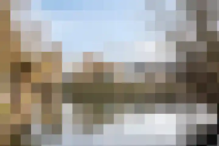 Nieuwendijk 64 Rosmalen thumbnail 29