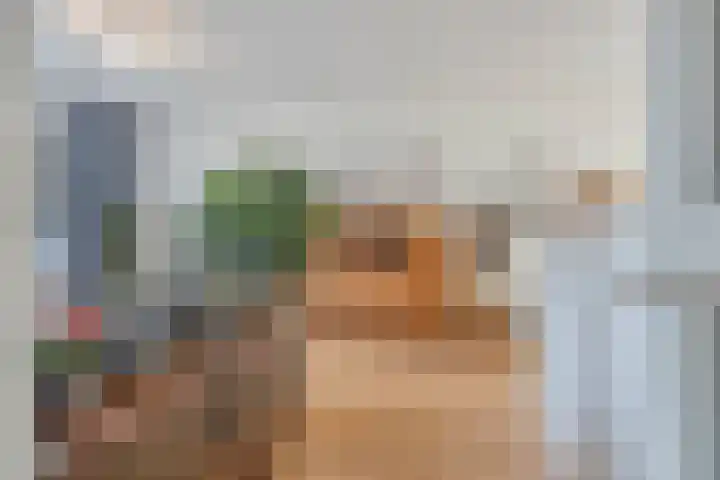 Nieuwendijk 64 Rosmalen thumbnail 6