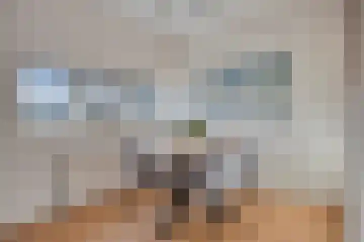 Nieuwendijk 64 Rosmalen thumbnail 8