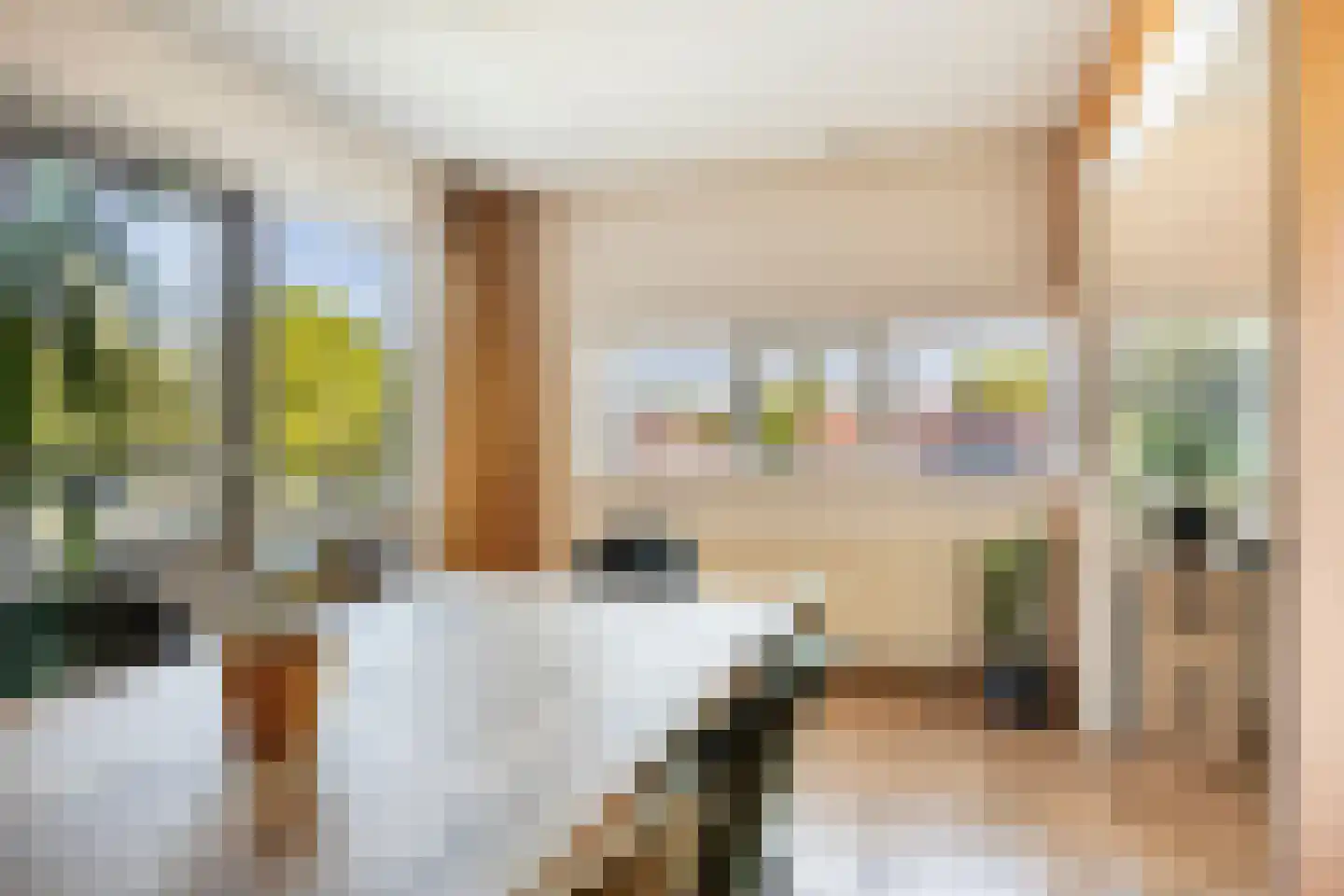 Nieuwendijk 66 Rosmalen thumbnail 12