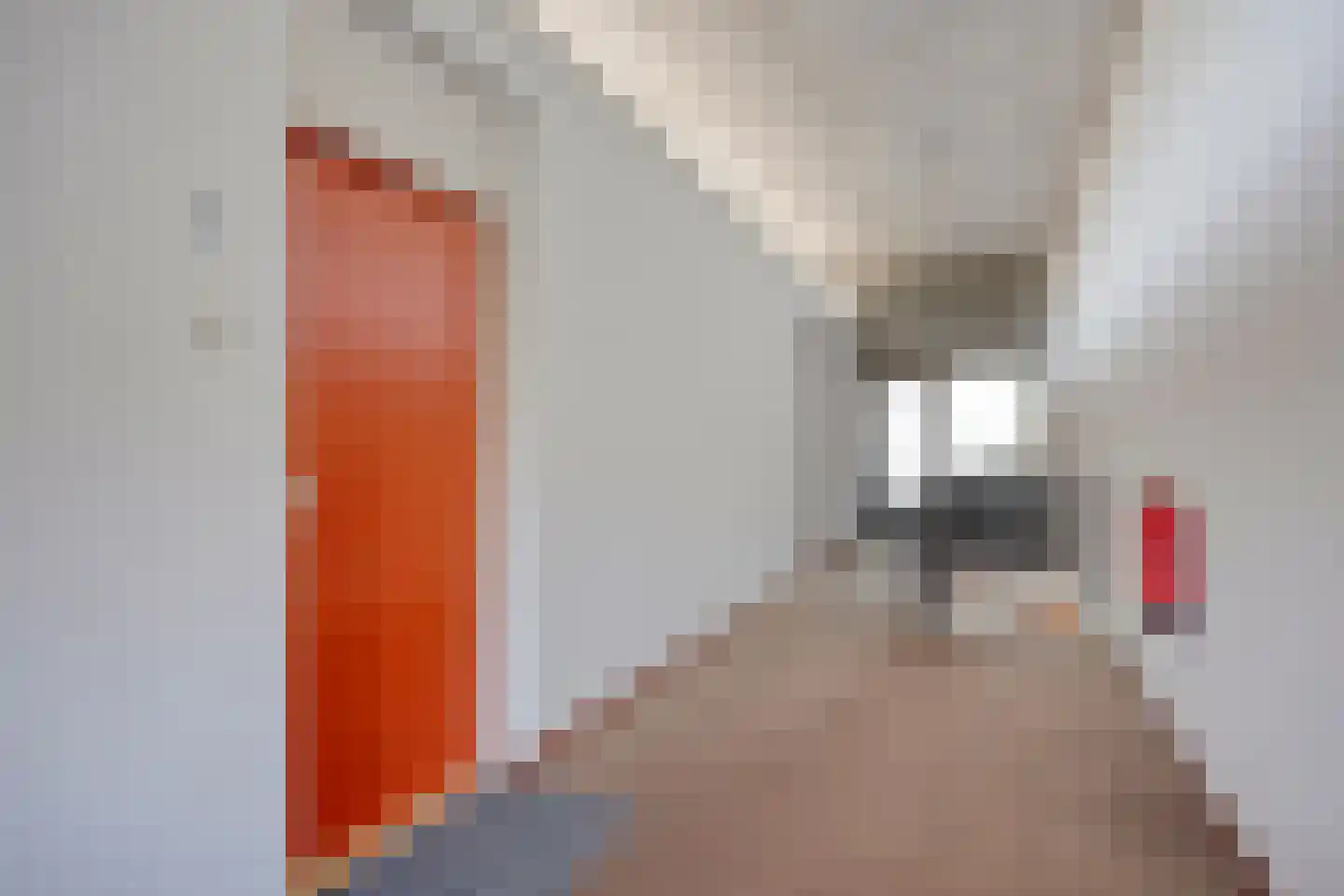 Nieuwendijk 66 Rosmalen thumbnail 24