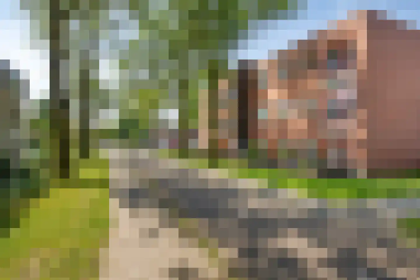 Nieuwendijk 66 Rosmalen thumbnail 26