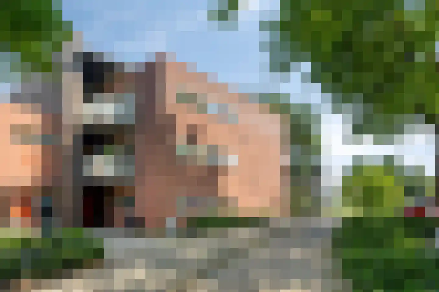 Nieuwendijk 66 Rosmalen thumbnail 28