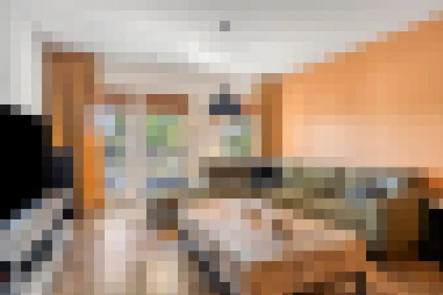 Nieuwendijk 66 Rosmalen thumbnail 4