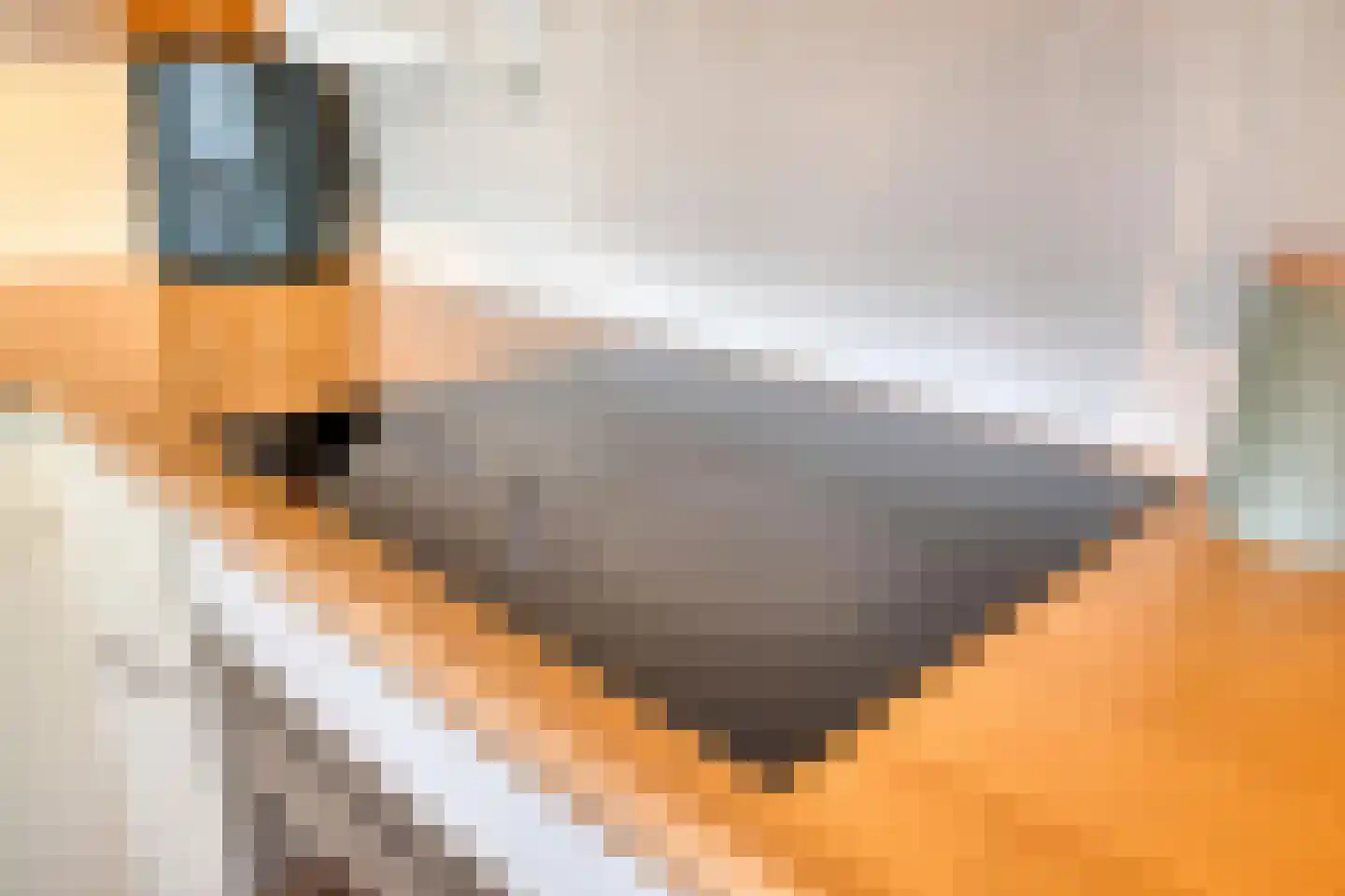 Nieuwendijk 66 Rosmalen thumbnail 7
