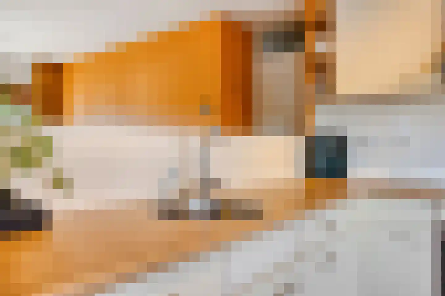 Nieuwendijk 66 Rosmalen thumbnail 8