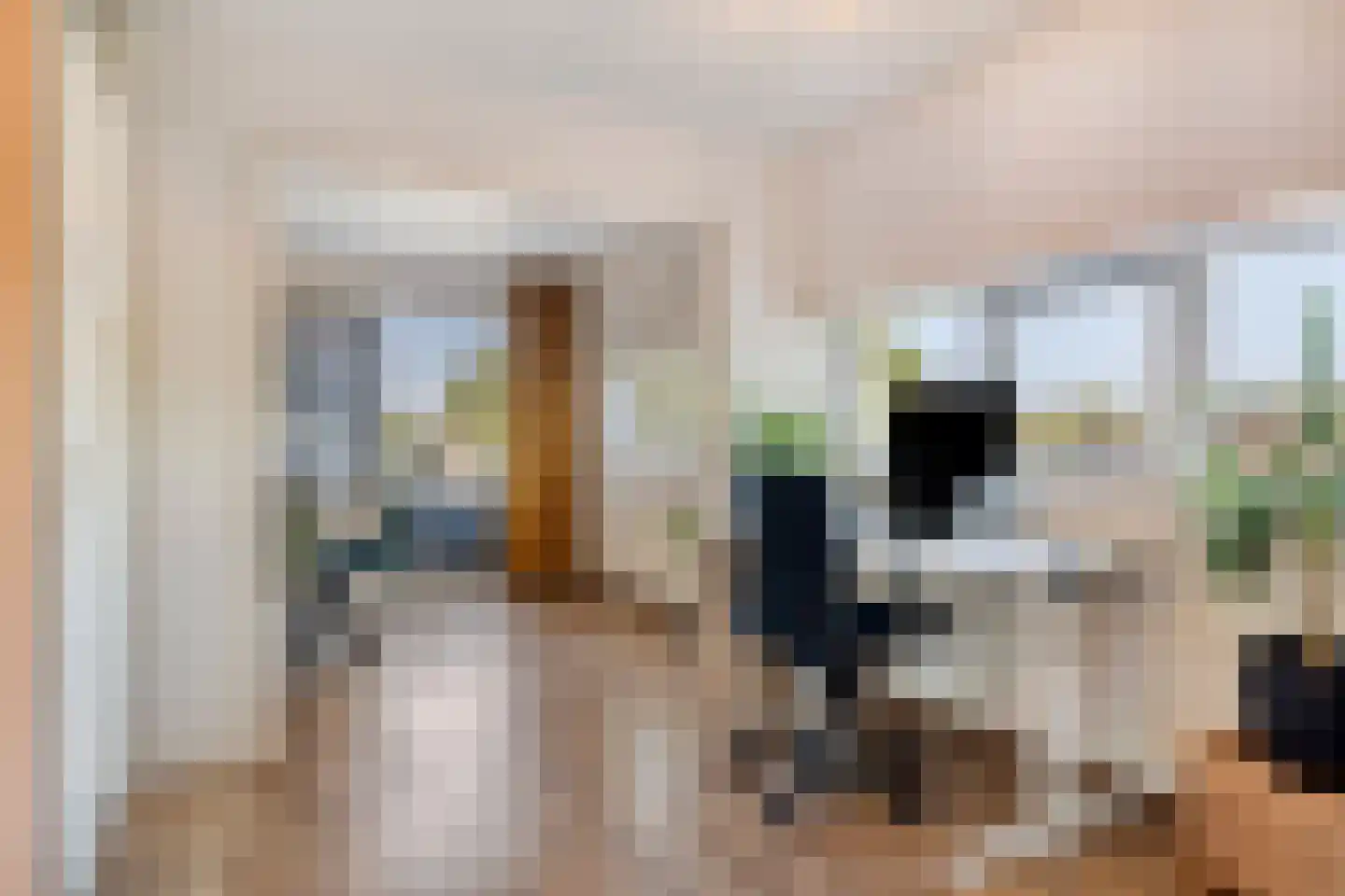 Nieuwendijk 66 Rosmalen thumbnail 9