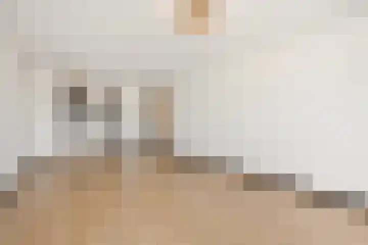 Nieuwendijk 68 Rosmalen thumbnail 11