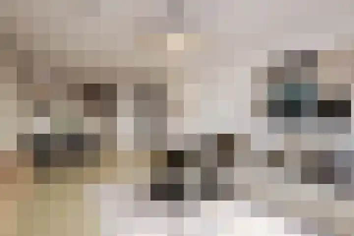 Nieuwendijk 68 Rosmalen thumbnail 12