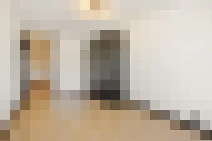 Nieuwendijk 68 Rosmalen thumbnail 16
