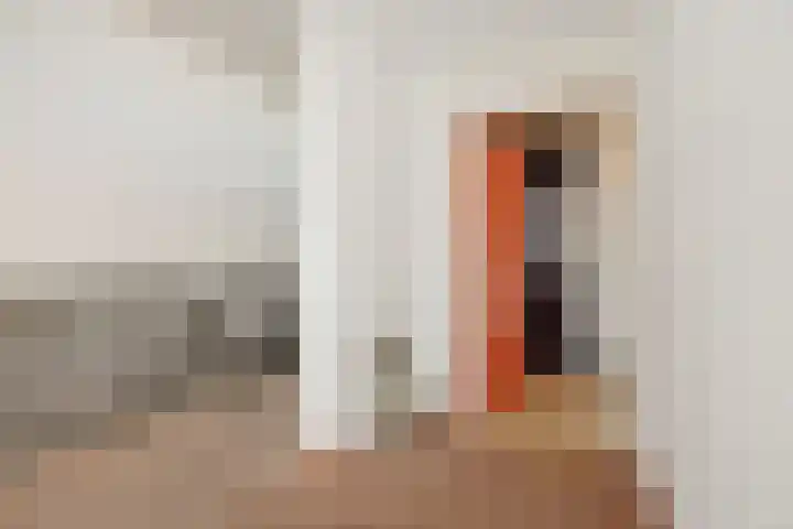Nieuwendijk 68 Rosmalen thumbnail 19
