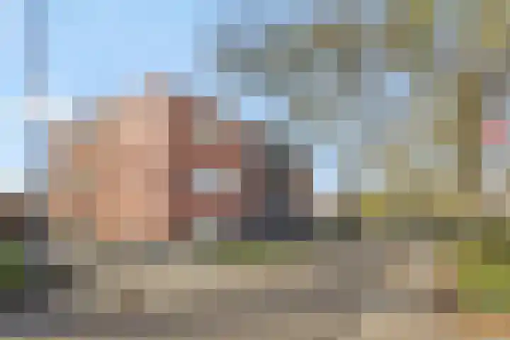 Nieuwendijk 68 Rosmalen thumbnail 22