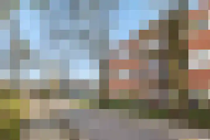 Nieuwendijk 68 Rosmalen thumbnail 24