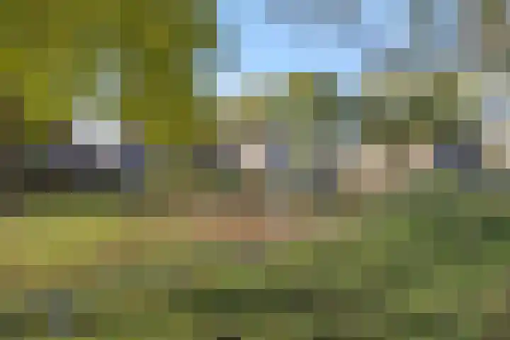 Nieuwendijk 68 Rosmalen thumbnail 26