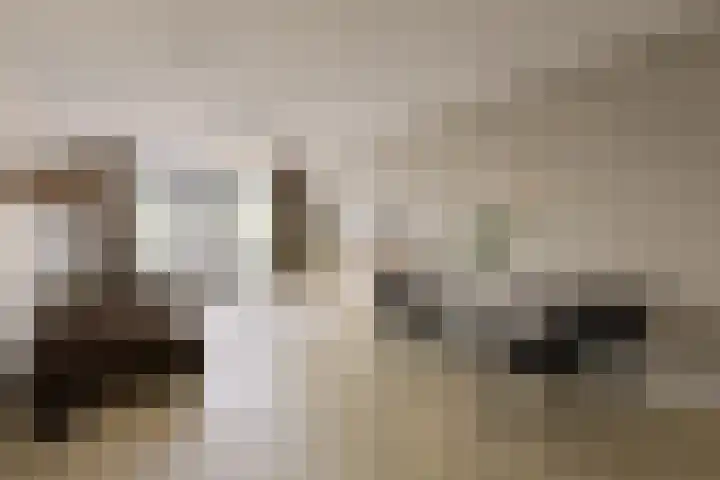 Nieuwendijk 68 Rosmalen thumbnail 5
