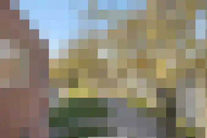 Nieuwendijk 68 Rosmalen thumbnail 9