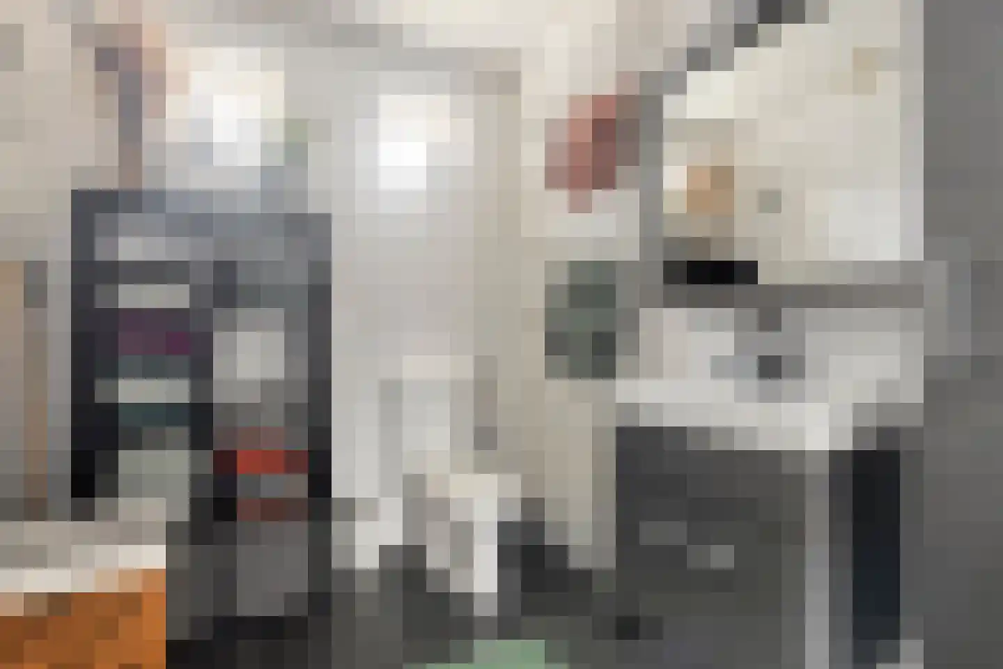 Nieuwendijk 69 Axel thumbnail 19