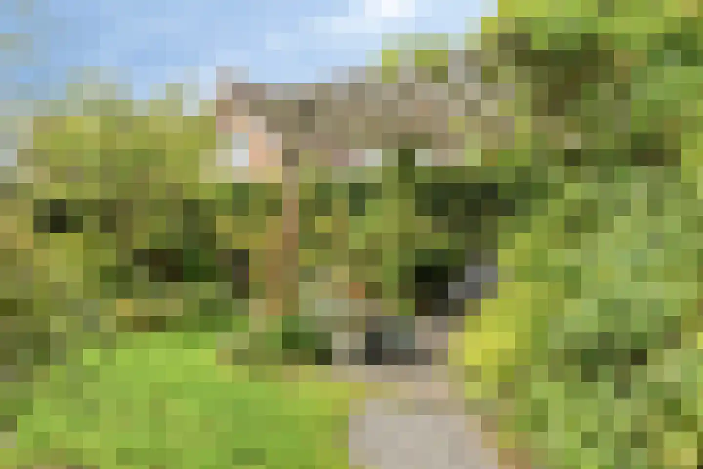 Nieuwendijk 69 Axel thumbnail 25