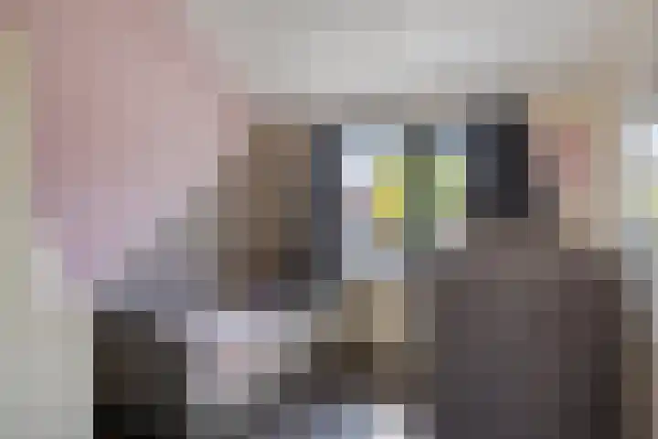 Nieuwendijk 76 Axel thumbnail 11