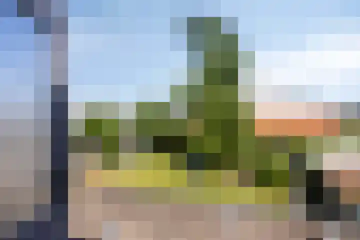Nieuwendijk 76 Axel thumbnail 12