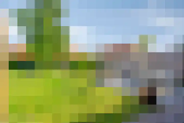 Nieuwendijk 76 Axel thumbnail 13