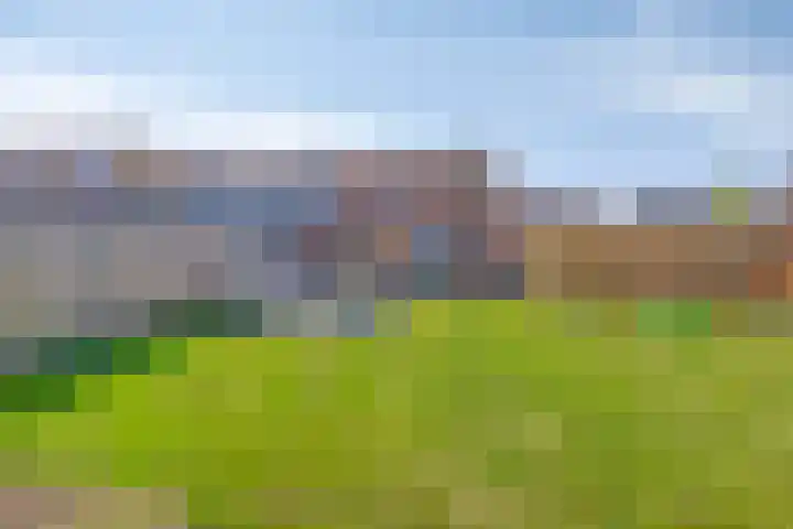 Nieuwendijk 76 Axel thumbnail 14