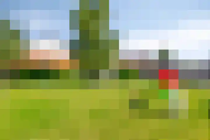 Nieuwendijk 76 Axel thumbnail 15