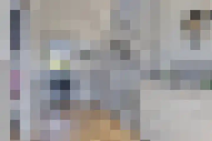 Nieuwendijk 76 Axel thumbnail 8