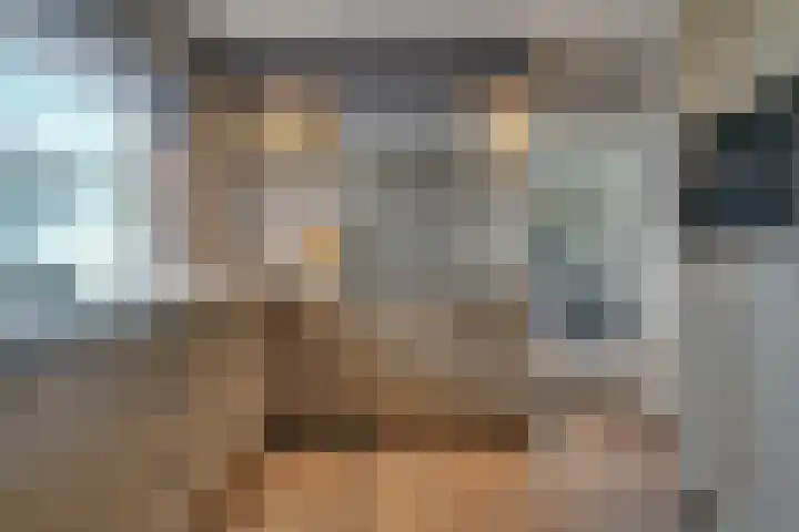 Nieuwendijk 95 Someren thumbnail 10