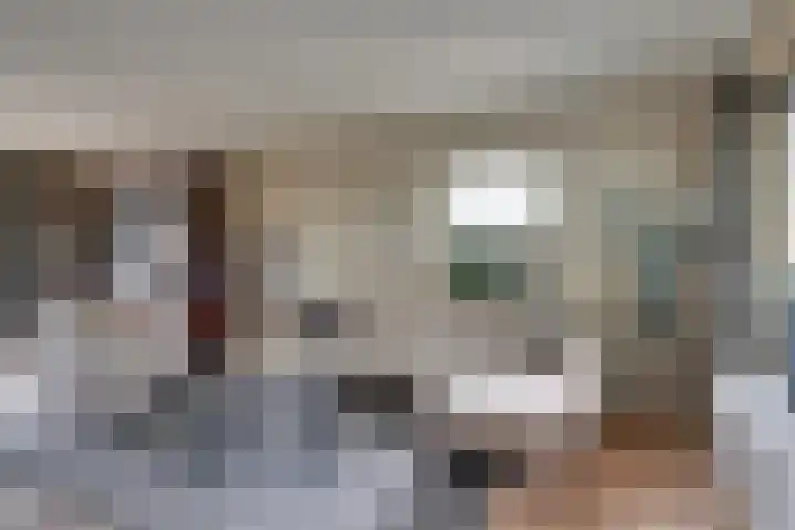 Nieuwendijk 95 Someren thumbnail 13