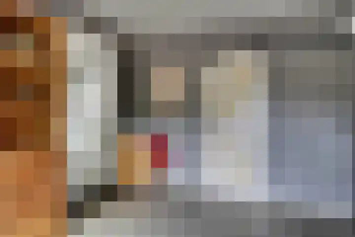 Nieuwendijk 95 Someren thumbnail 16