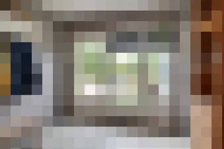 Nieuwendijk 95 Someren thumbnail 18