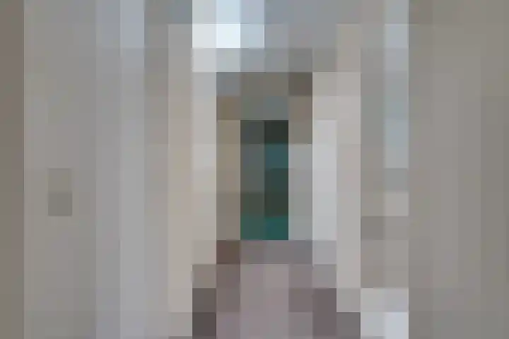 Nieuwendijk 95 Someren thumbnail 19
